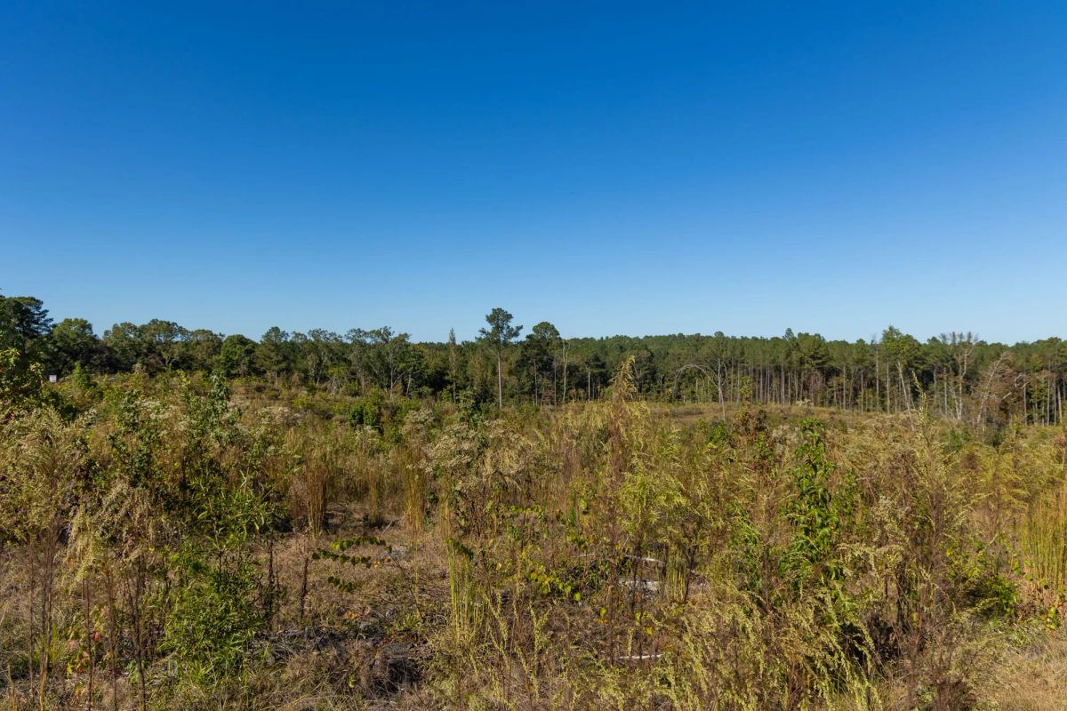 Decorative background for Meyer’s Ridge Tract 25 image 10