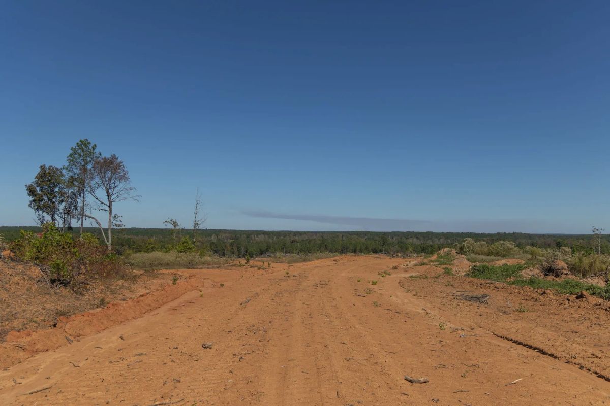 Decorative background for Meyer’s Ridge Tract 25 image 13