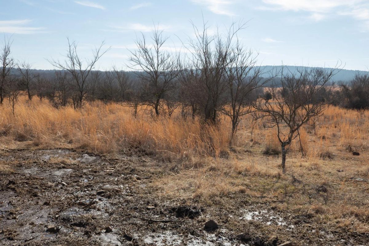 Painted Horse Tract 30 - Image 2