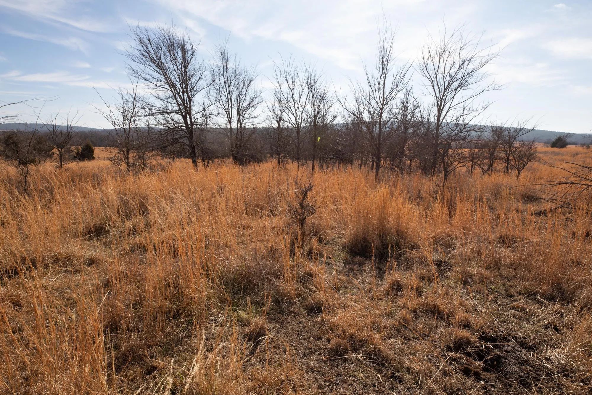 Painted Horse Tract 30 in Pittsburg County, OK