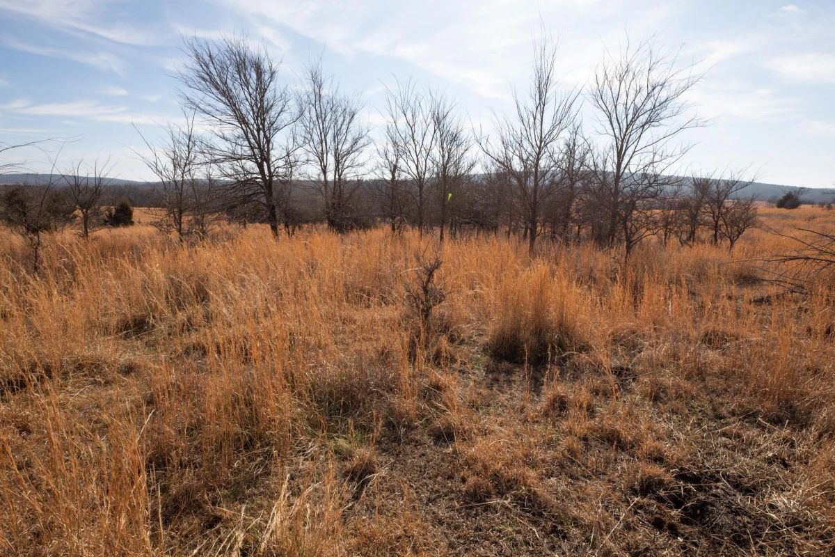 Painted Horse Tract 30 - Image 3