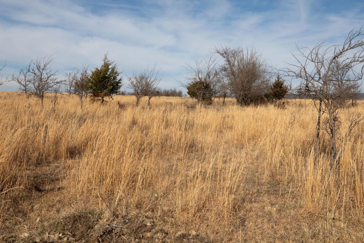 Painted Horse Tract 30 - Image 4