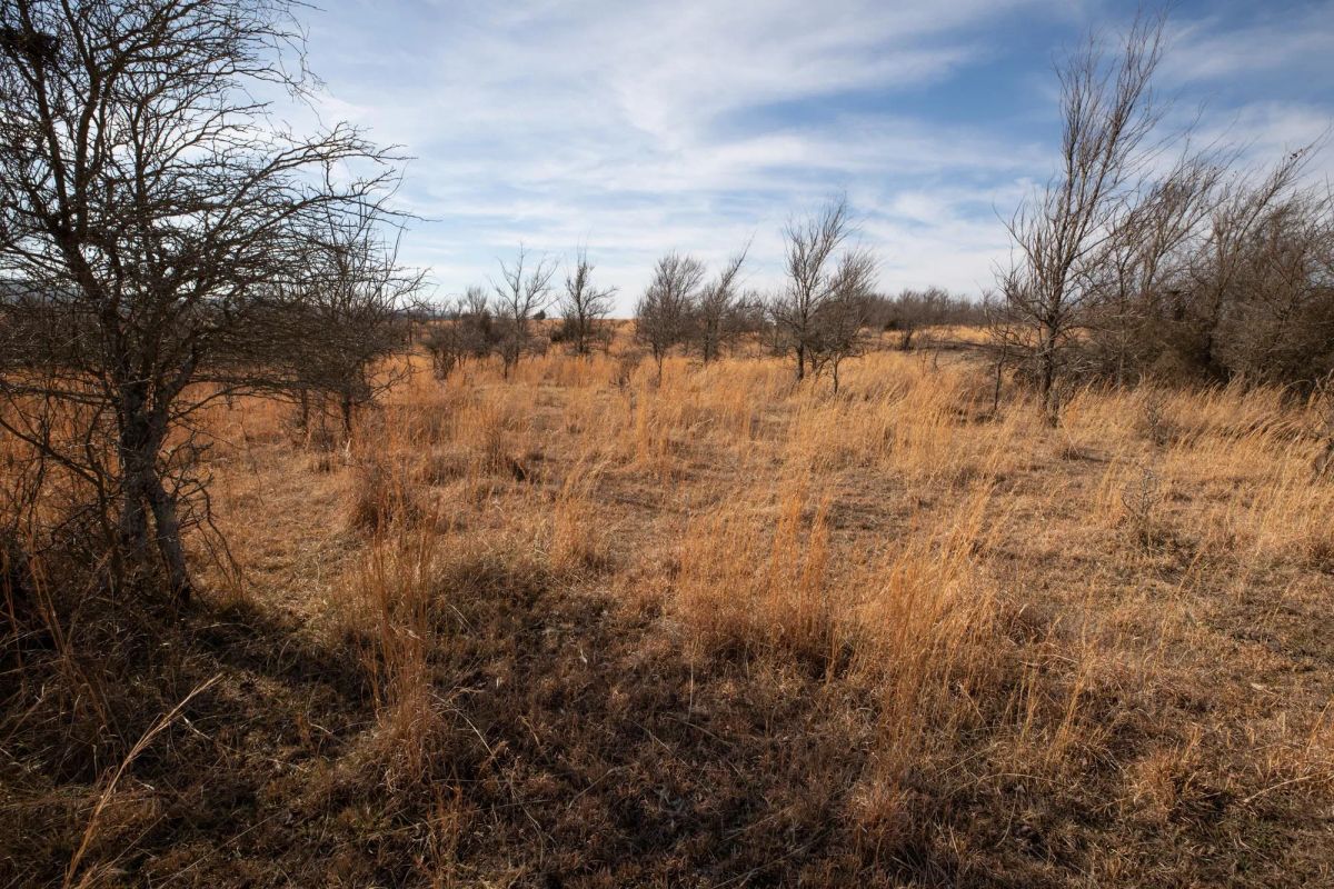 Decorative background for Painted Horse Tract 30 image 8