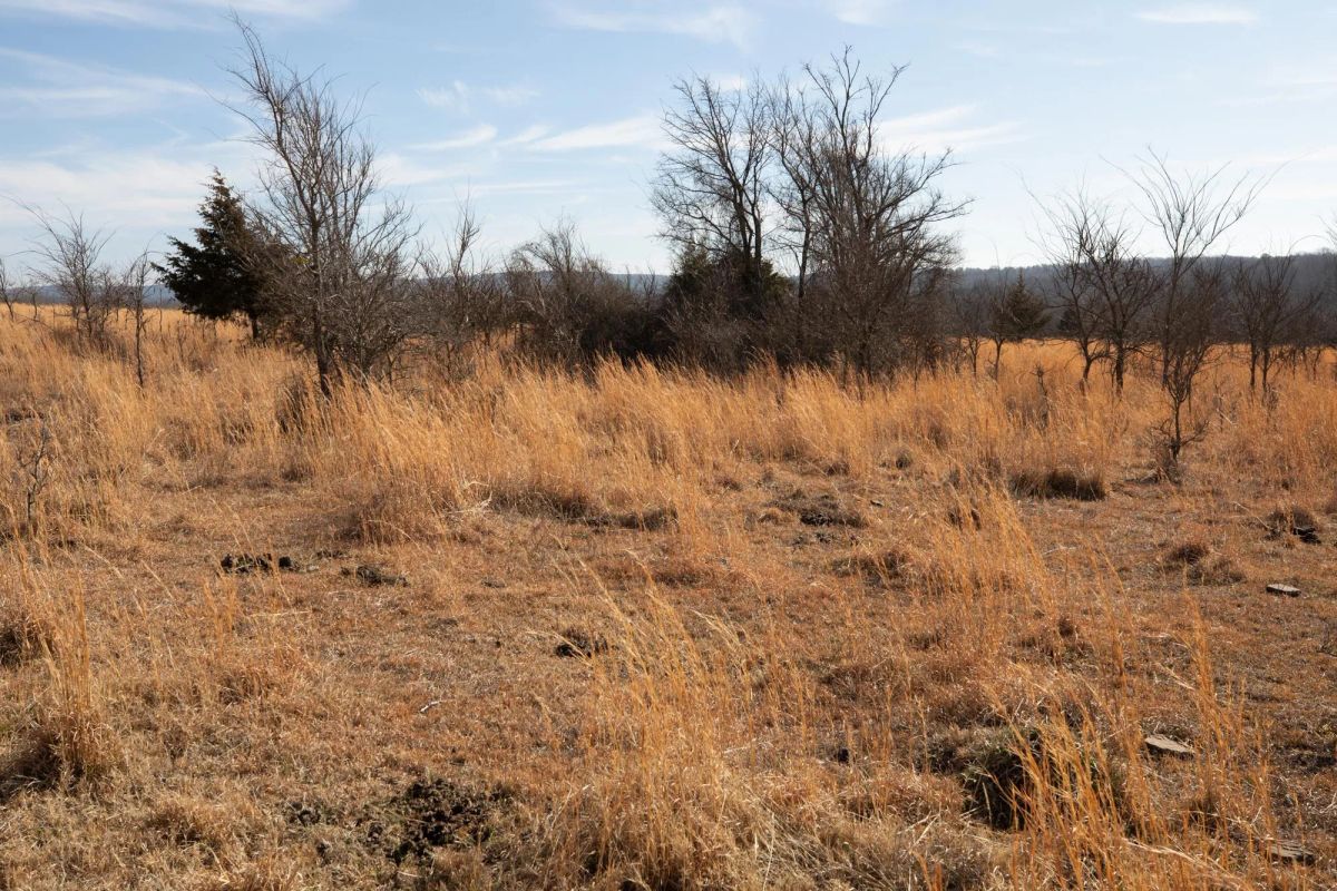 Decorative background for Painted Horse Tract 30 image 9