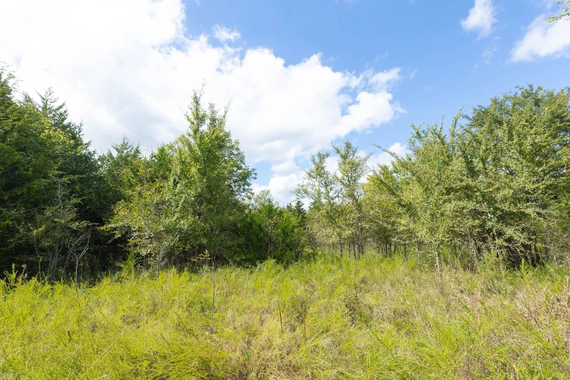 Reserves At Cattail Cove Phase II Tract 85 in Pittsburg County, OK