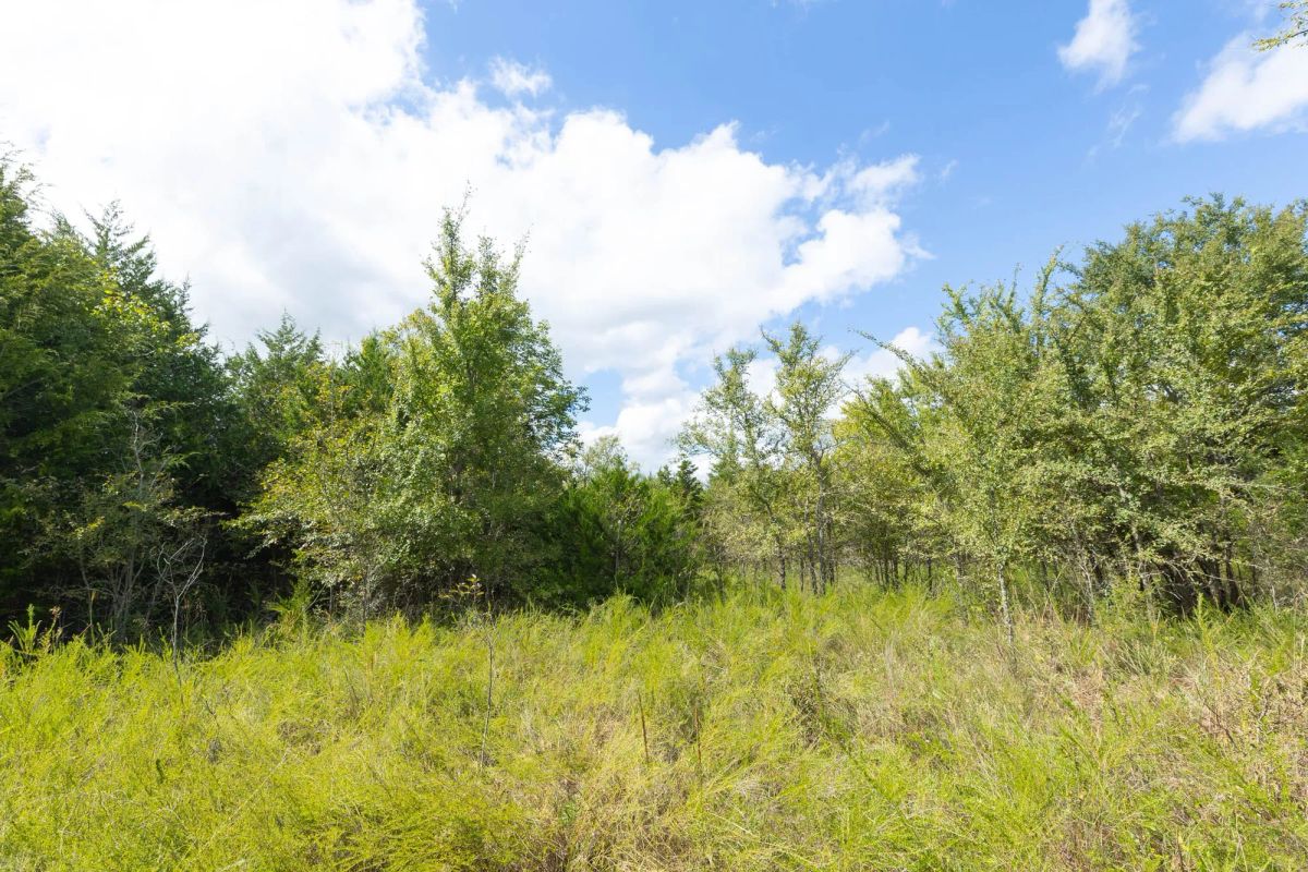 Reserves At Cattail Cove Phase II Tract 85 - Image 3