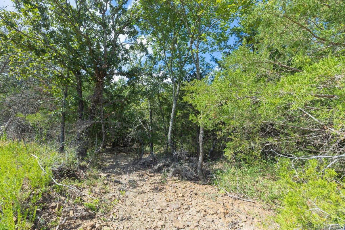 Decorative background for Reserves At Cattail Cove Phase II Tract 85 image 5