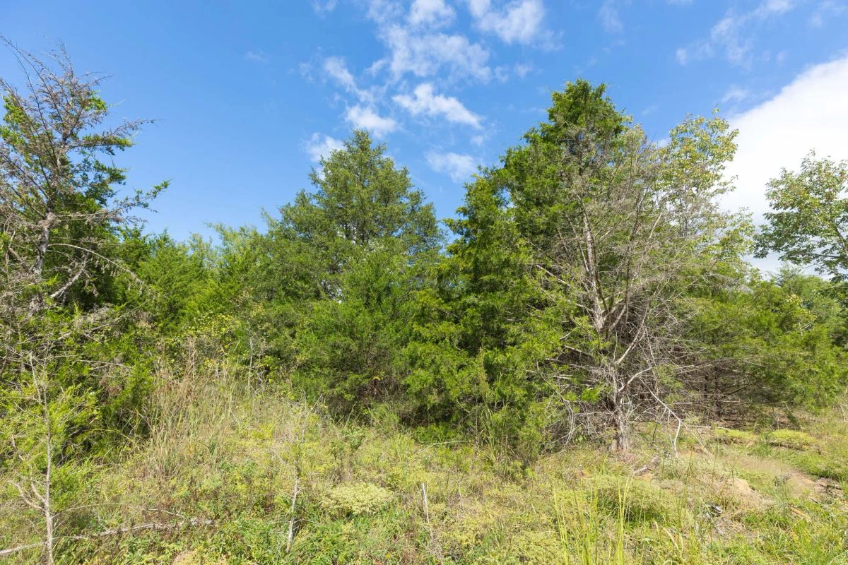 Decorative background for Reserves At Cattail Cove Phase II Tract 85 image 7