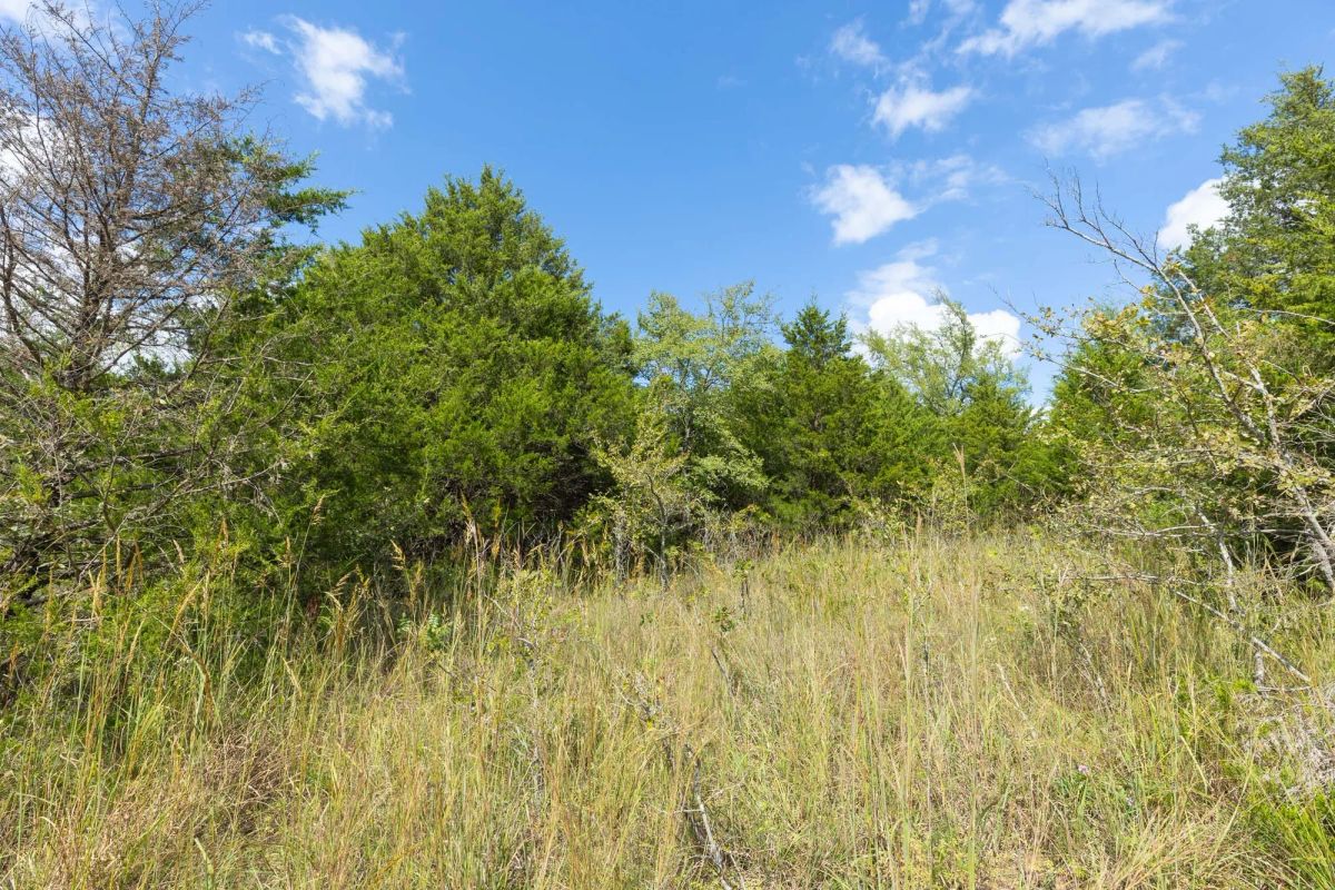 Decorative background for Reserves At Cattail Cove Phase II Tract 85 image 8