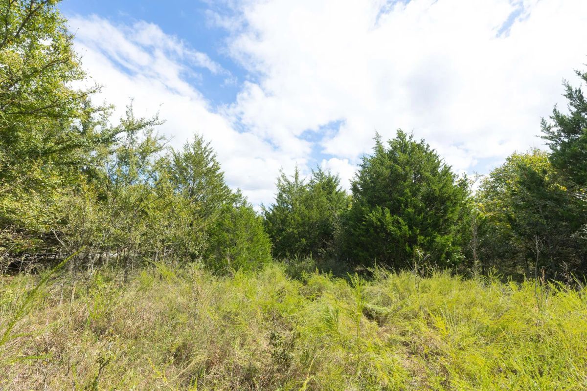Decorative background for Reserves At Cattail Cove Phase II Tract 85 image 9