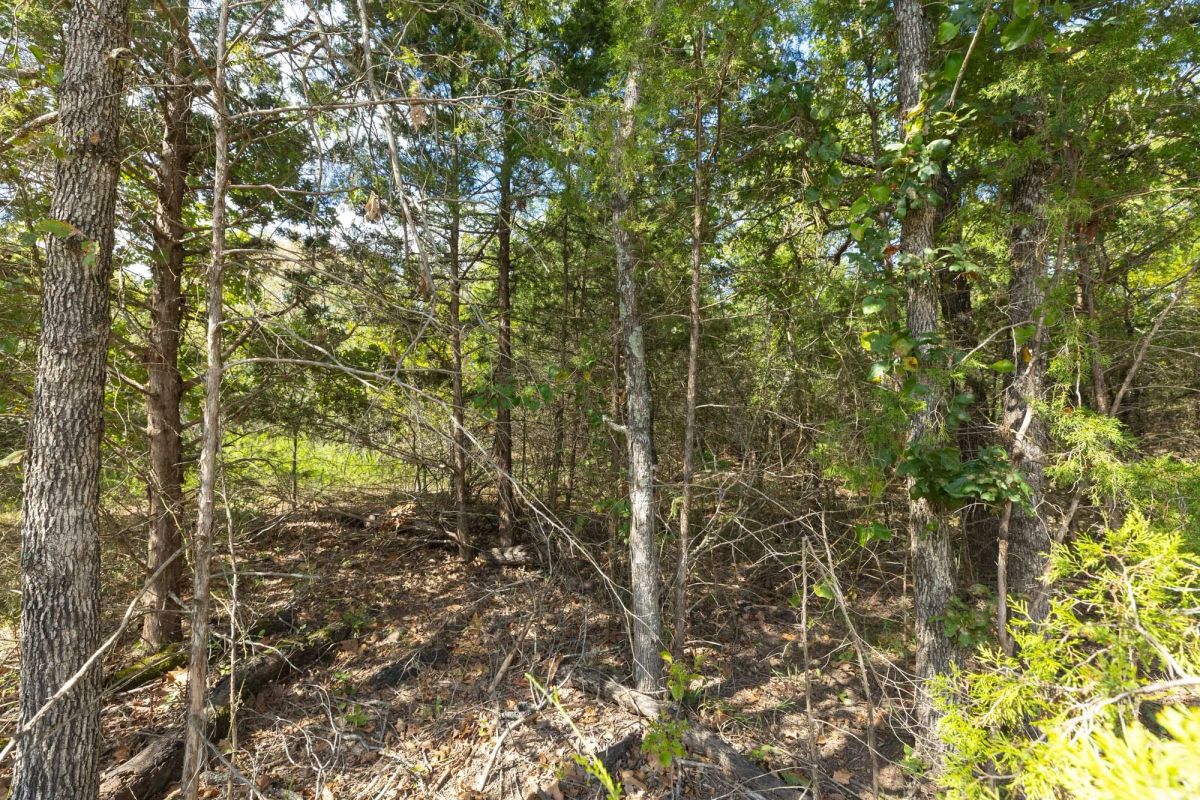 Decorative background for Reserves At Cattail Cove Phase II Tract 85 image 11