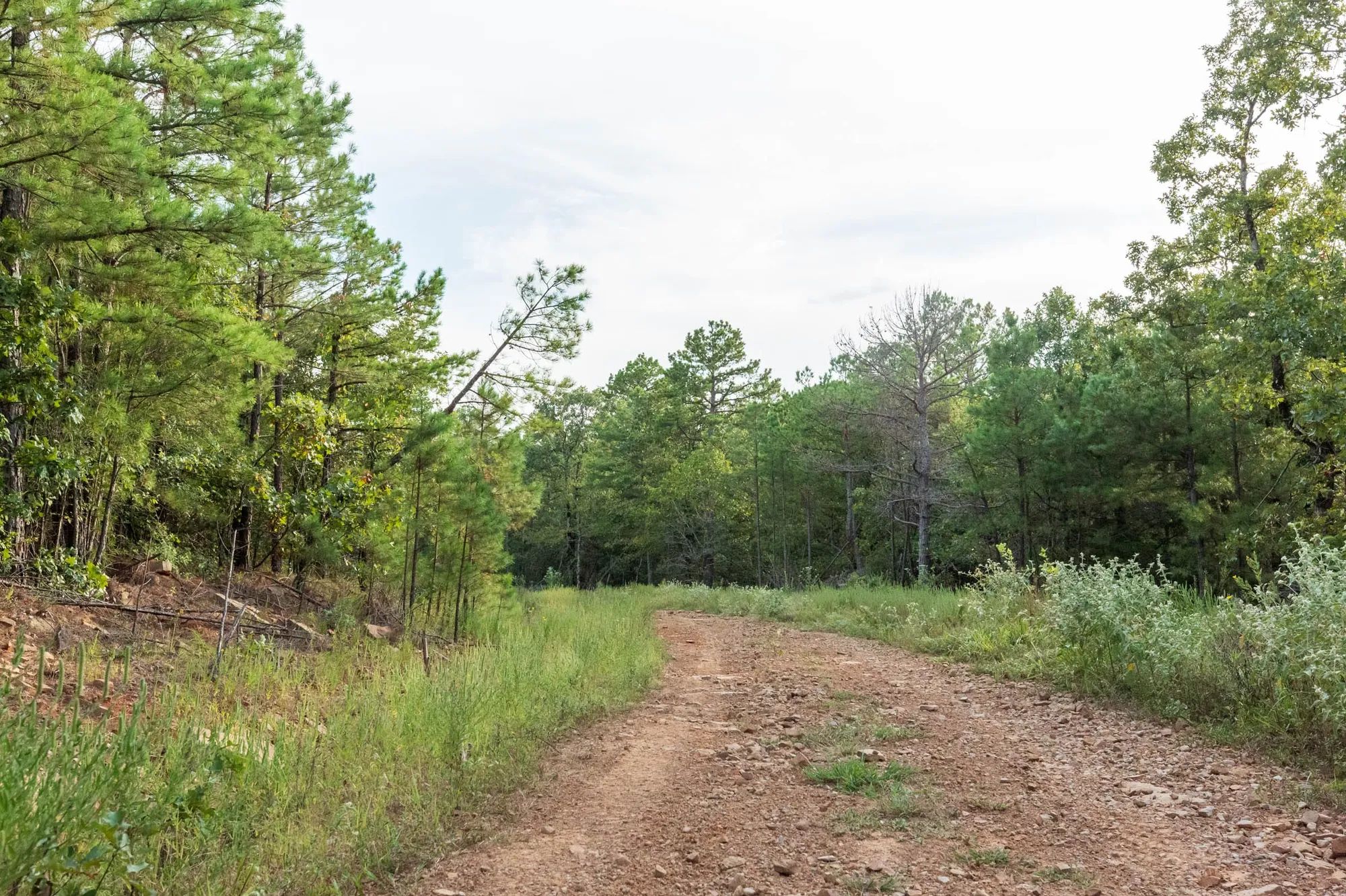 Stone Bridge Phase V Tract 391 in Latimer County, OK