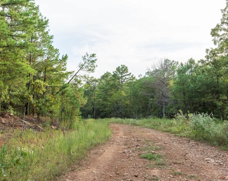Stone Bridge Phase V Tract 391 in Latimer County, OK