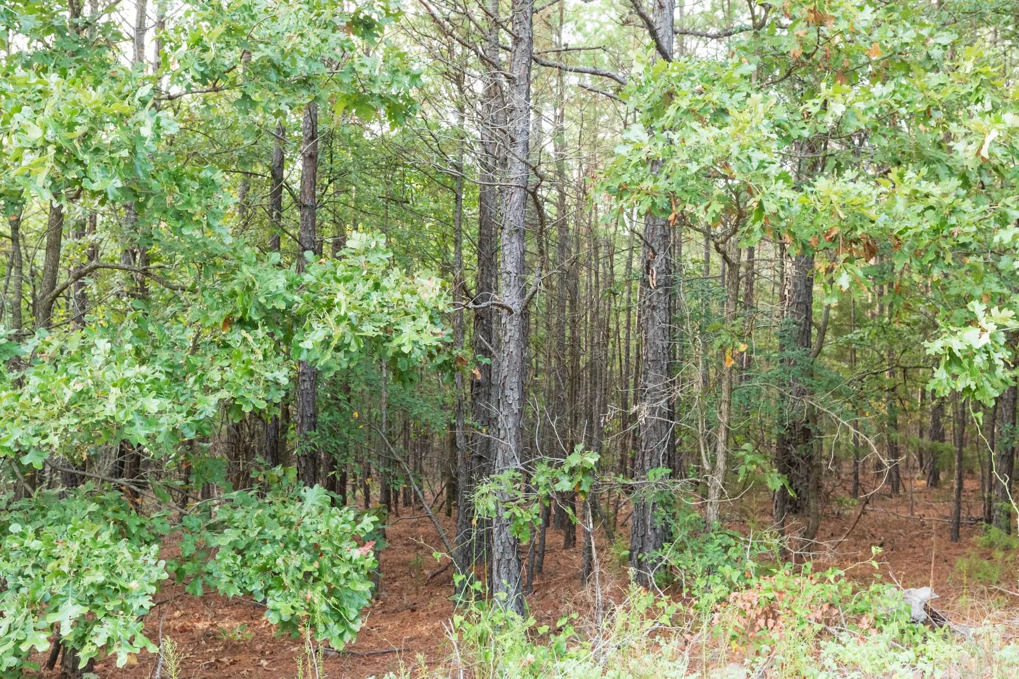 Stone Bridge Phase V Tract 391 in Latimer County, OK