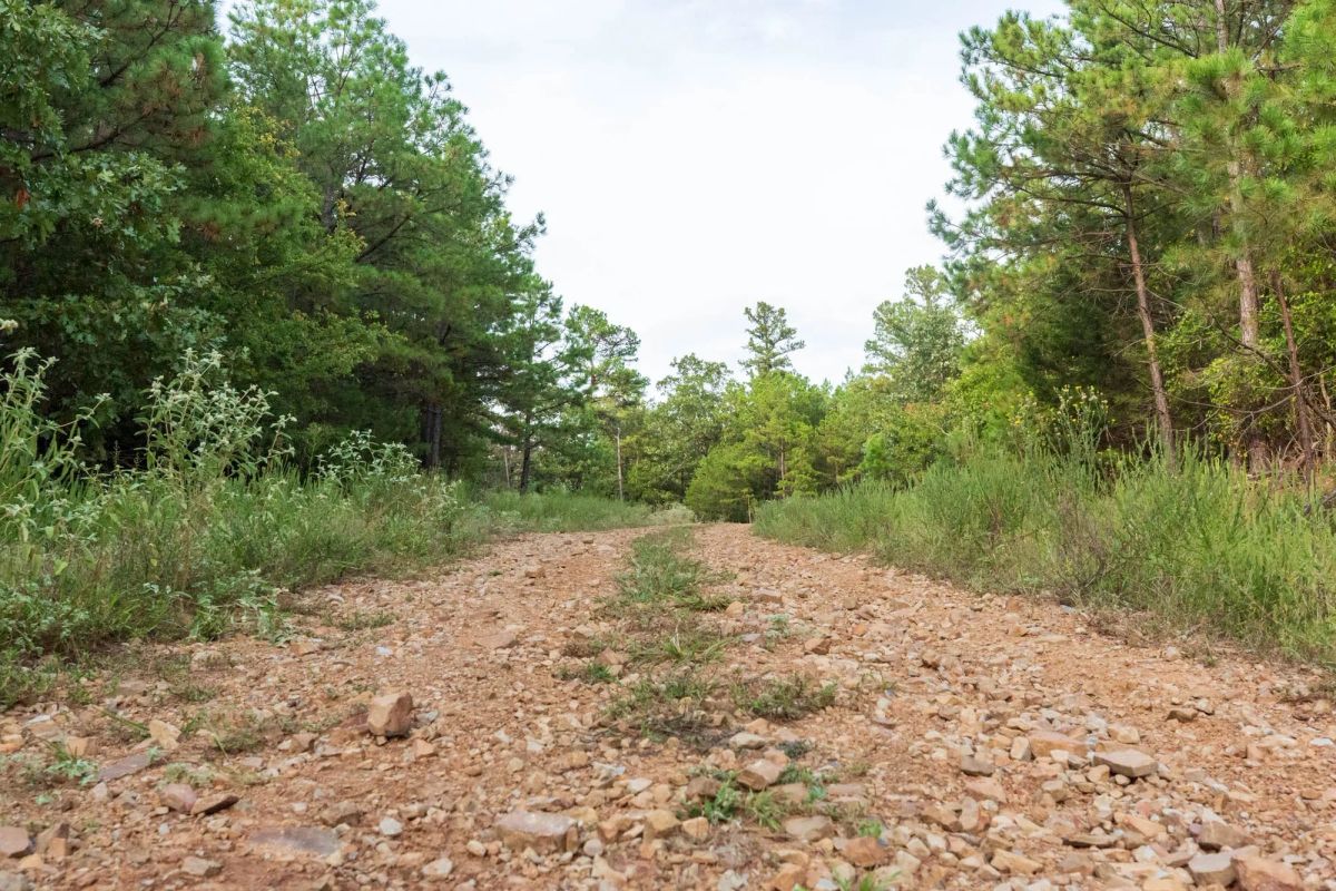 Decorative background for Stone Bridge Phase V Tract 391 image 7