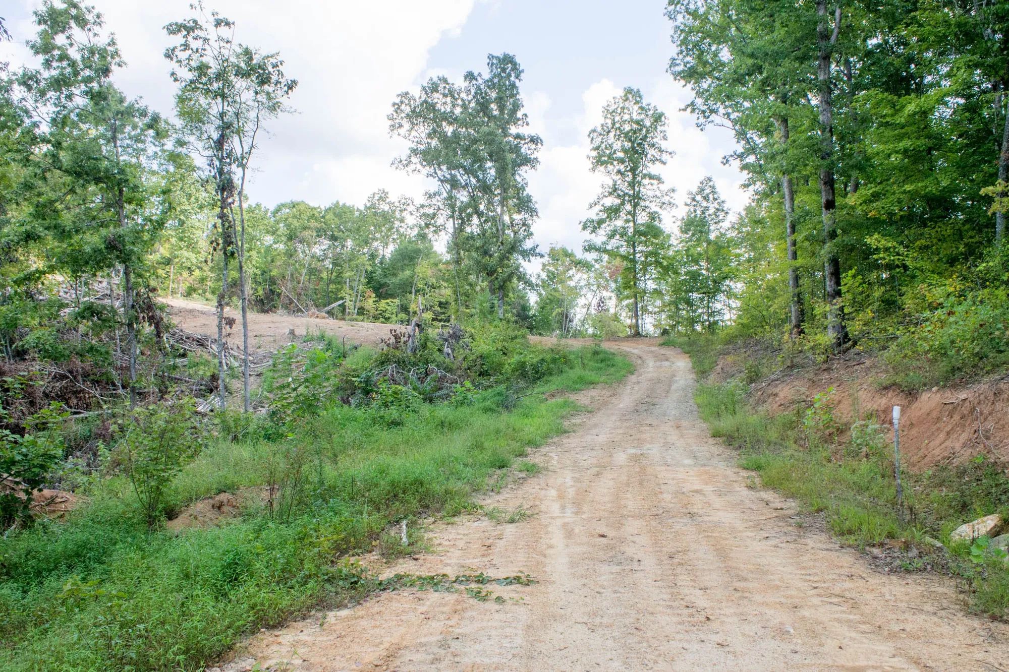 Buck Run Ridge Tract 23 in Wayne County, KY