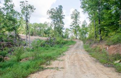 Buck Run Ridge Tract 23
