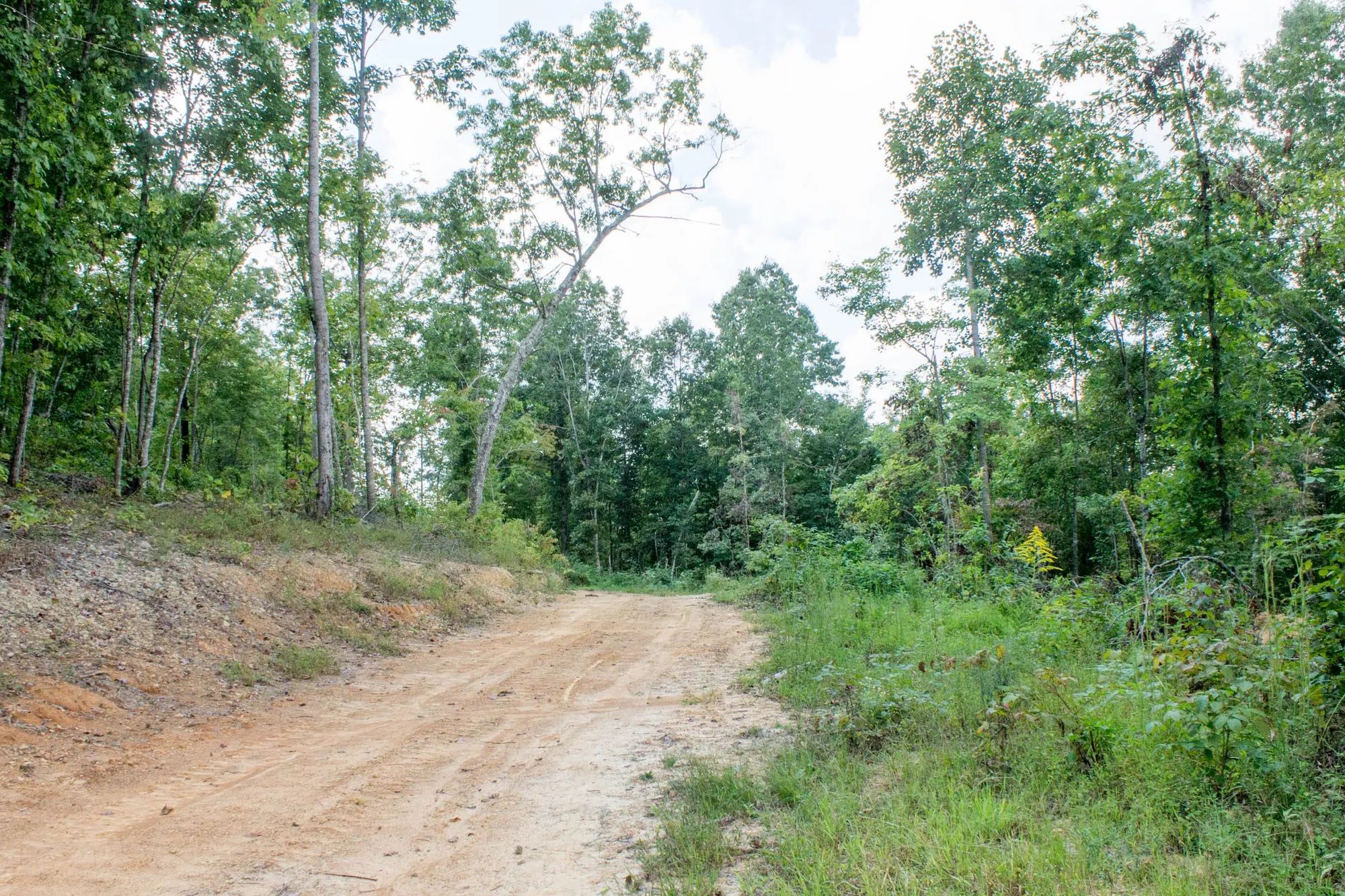 Buck Run Ridge Tract 23 in Wayne County, KY
