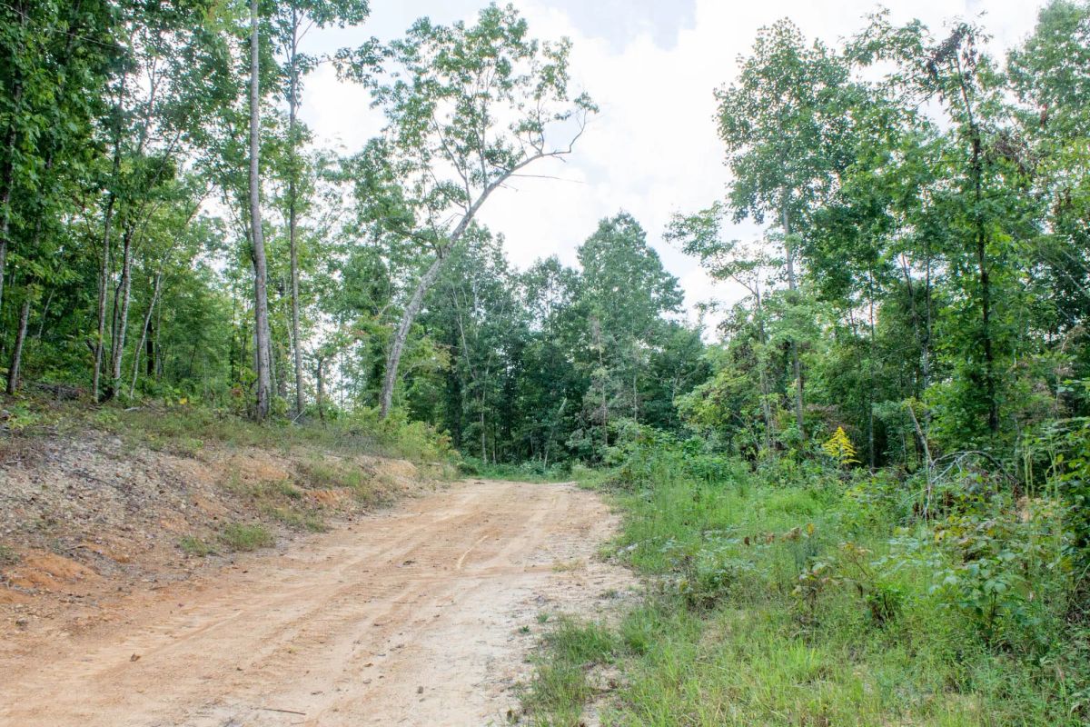 Buck Run Ridge Tract 23 - Image 2