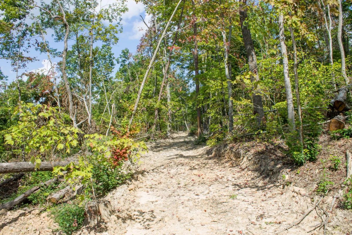 Decorative background for Buck Run Ridge Tract 23 image 8
