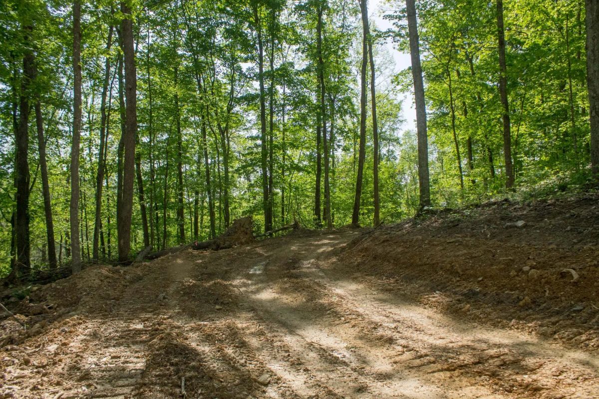 Decorative background for Trails End Tract 18 image 6