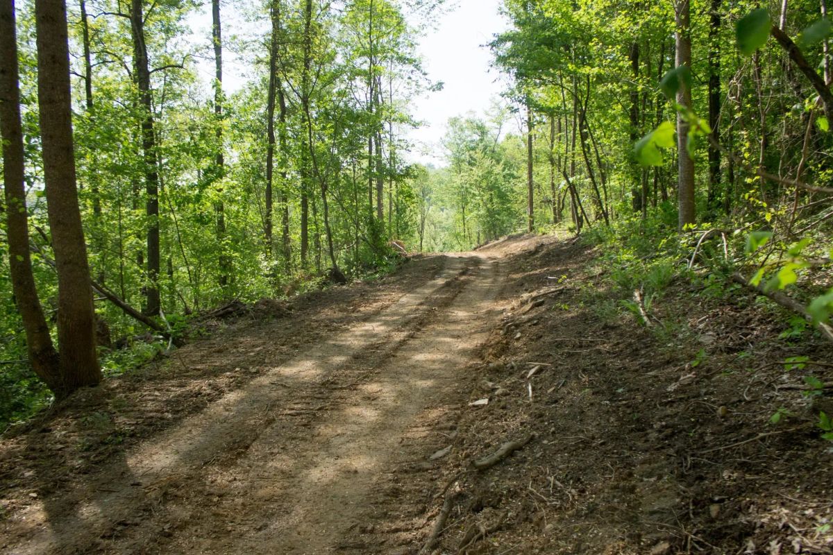 Decorative background for Trails End Tract 18 image 10