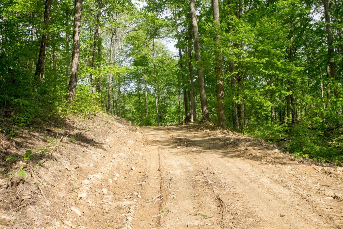 Decorative background for Trails End Tract 18 image 11