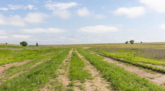Crandall's Corner Tract 16 in Graham County, KS
