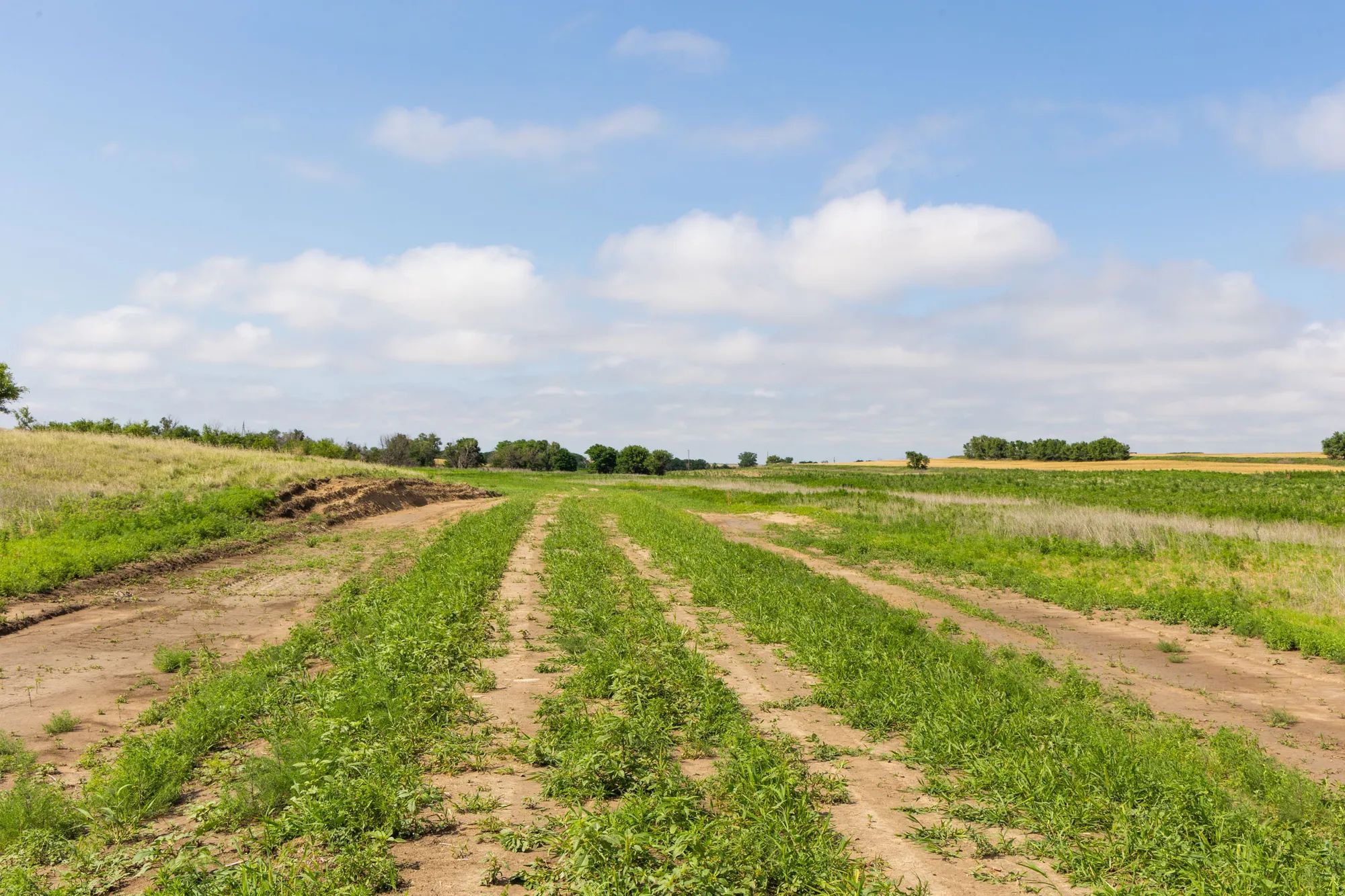 Crandall's Corner Tract 16 in Graham County, KS