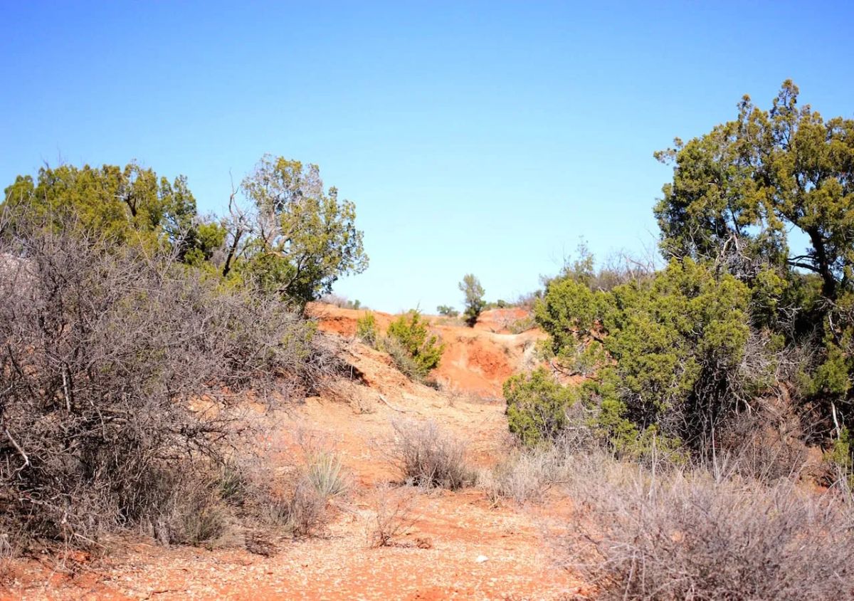 Red Rock Ranch Tract 6 - Image 4