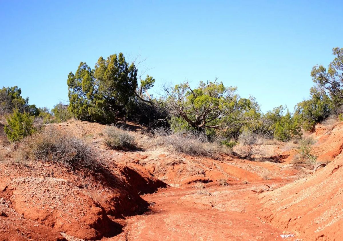Decorative background for Red Rock Ranch Tract 6 image 6