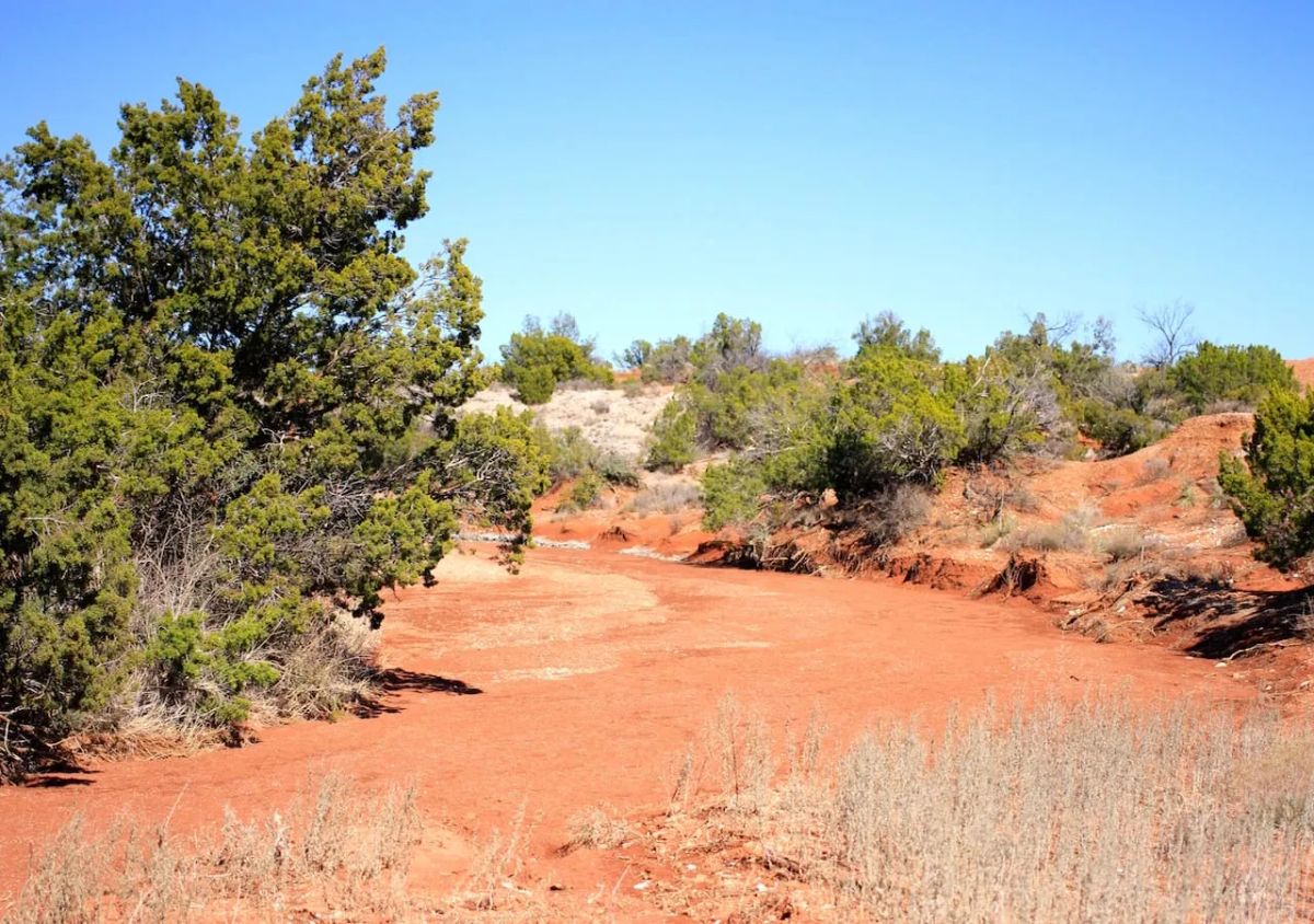 Decorative background for Red Rock Ranch Tract 6 image 7
