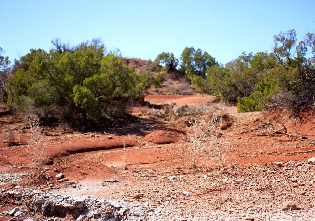 Decorative background for Red Rock Ranch Tract 6 image 9