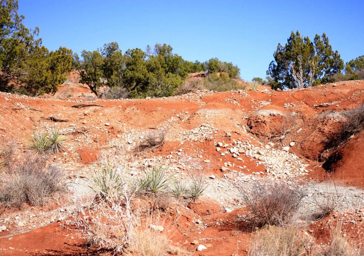 Decorative background for Red Rock Ranch Tract 6 image 11