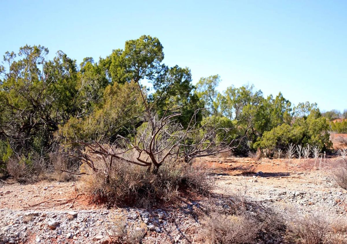 Decorative background for Red Rock Ranch Tract 6 image 12