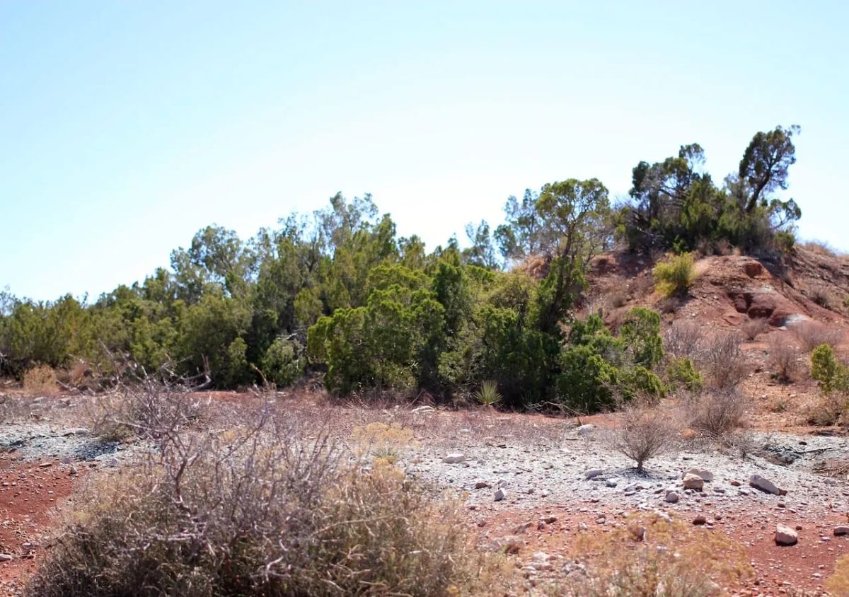 Decorative background for Red Rock Ranch Tract 6 image 13