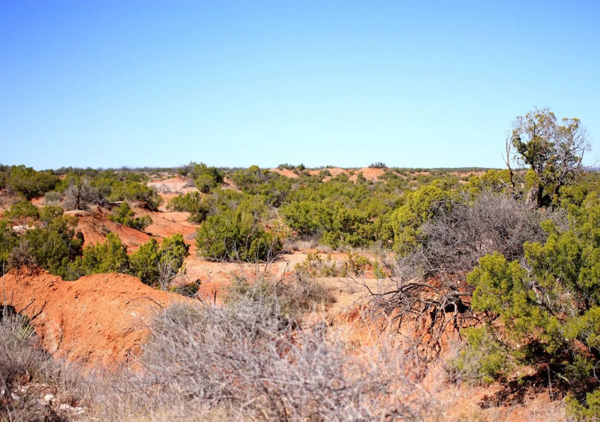 Decorative background for Red Rock Ranch Tract 6 image 14