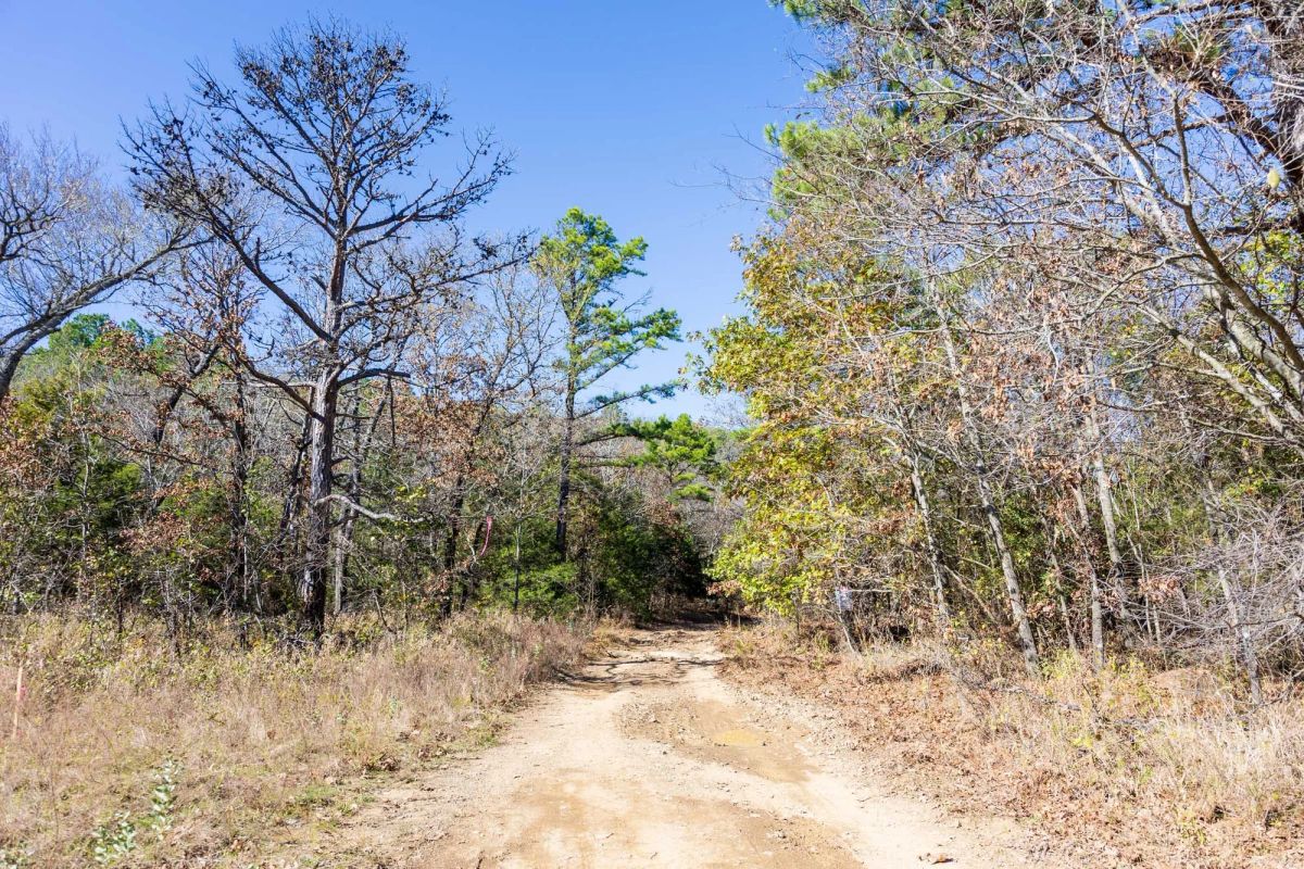 Stone Bridge Reserve Tract 9 - Main image