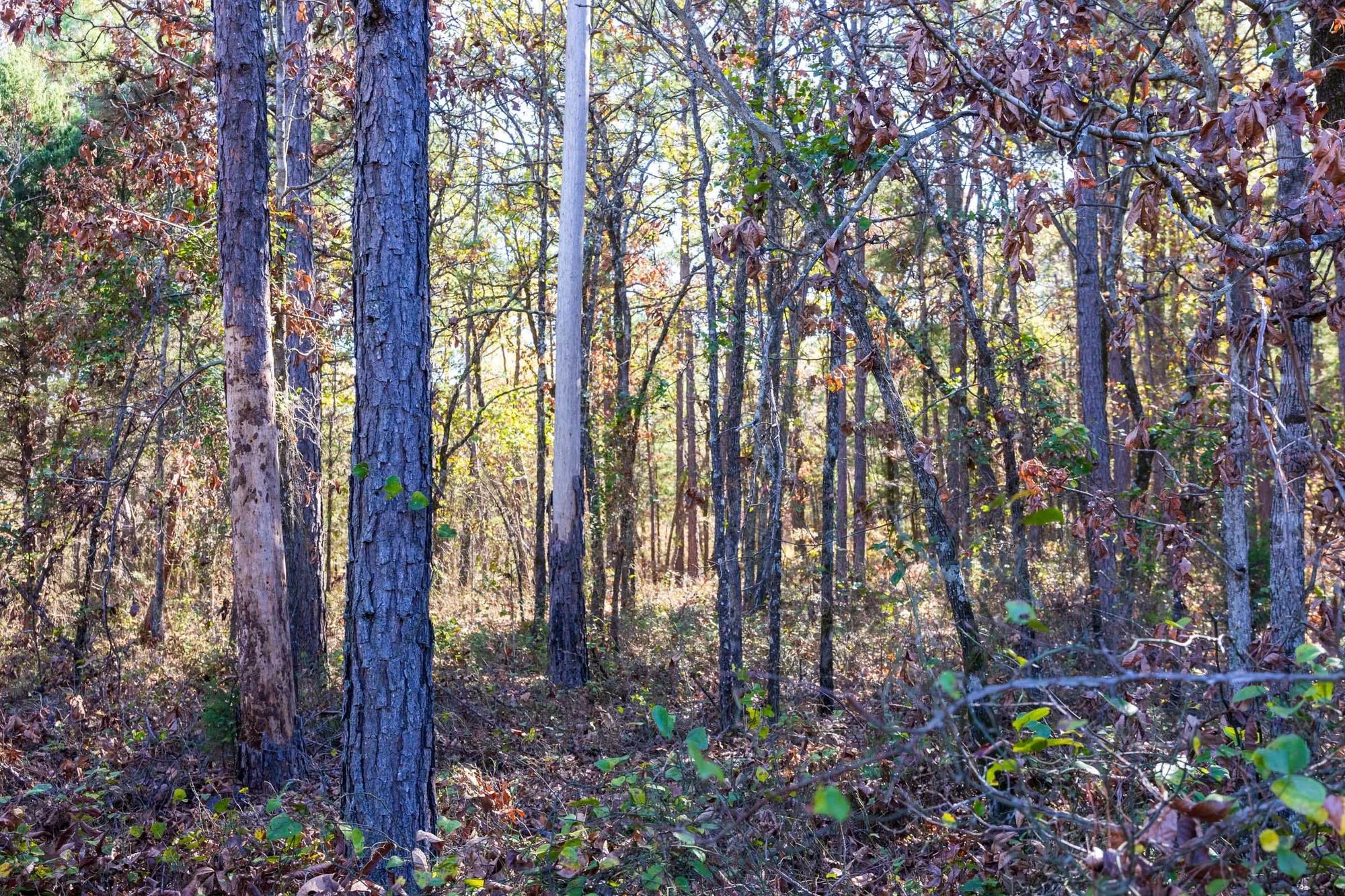 Stone Bridge Reserve Tract 9 in Haskell County, OK