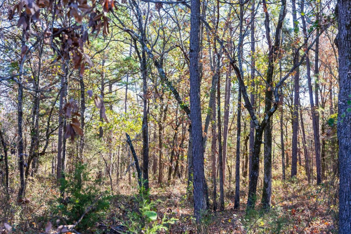 Stone Bridge Reserve Tract 9 - Image 3