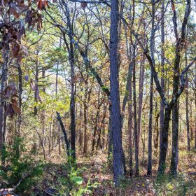Stone Bridge Reserve Tract 9 in Haskell County, OK