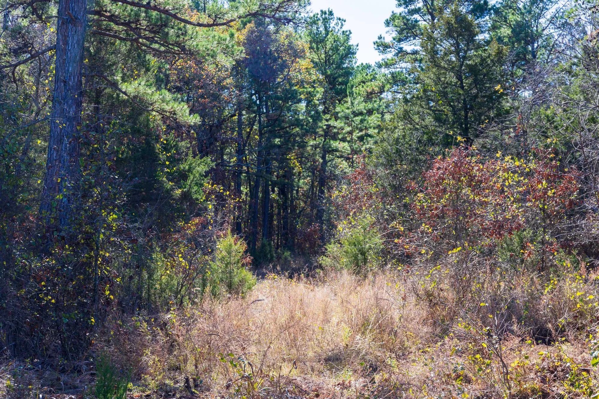 Stone Bridge Reserve Tract 9 in Haskell County, OK