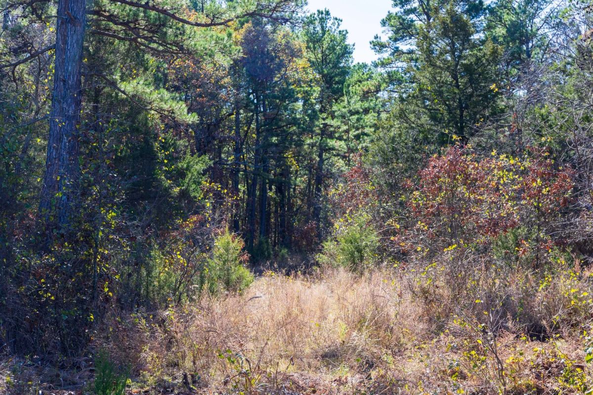 Stone Bridge Reserve Tract 9 - Image 4