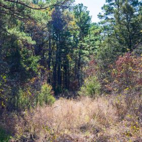 Stone Bridge Reserve Tract 9 in Haskell County, OK