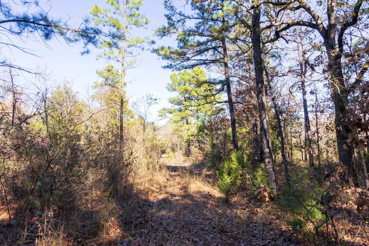 Decorative background for Stone Bridge Reserve Tract 9 image 6