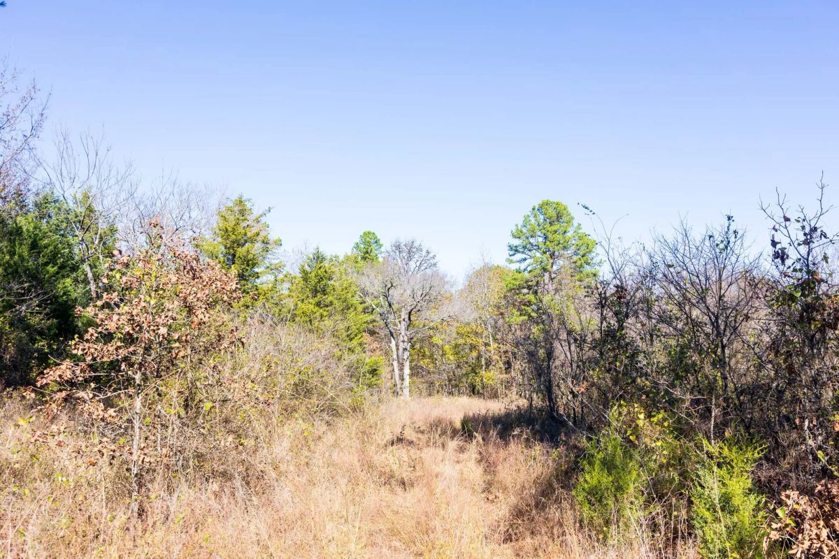 Decorative background for Stone Bridge Reserve Tract 9 image 7