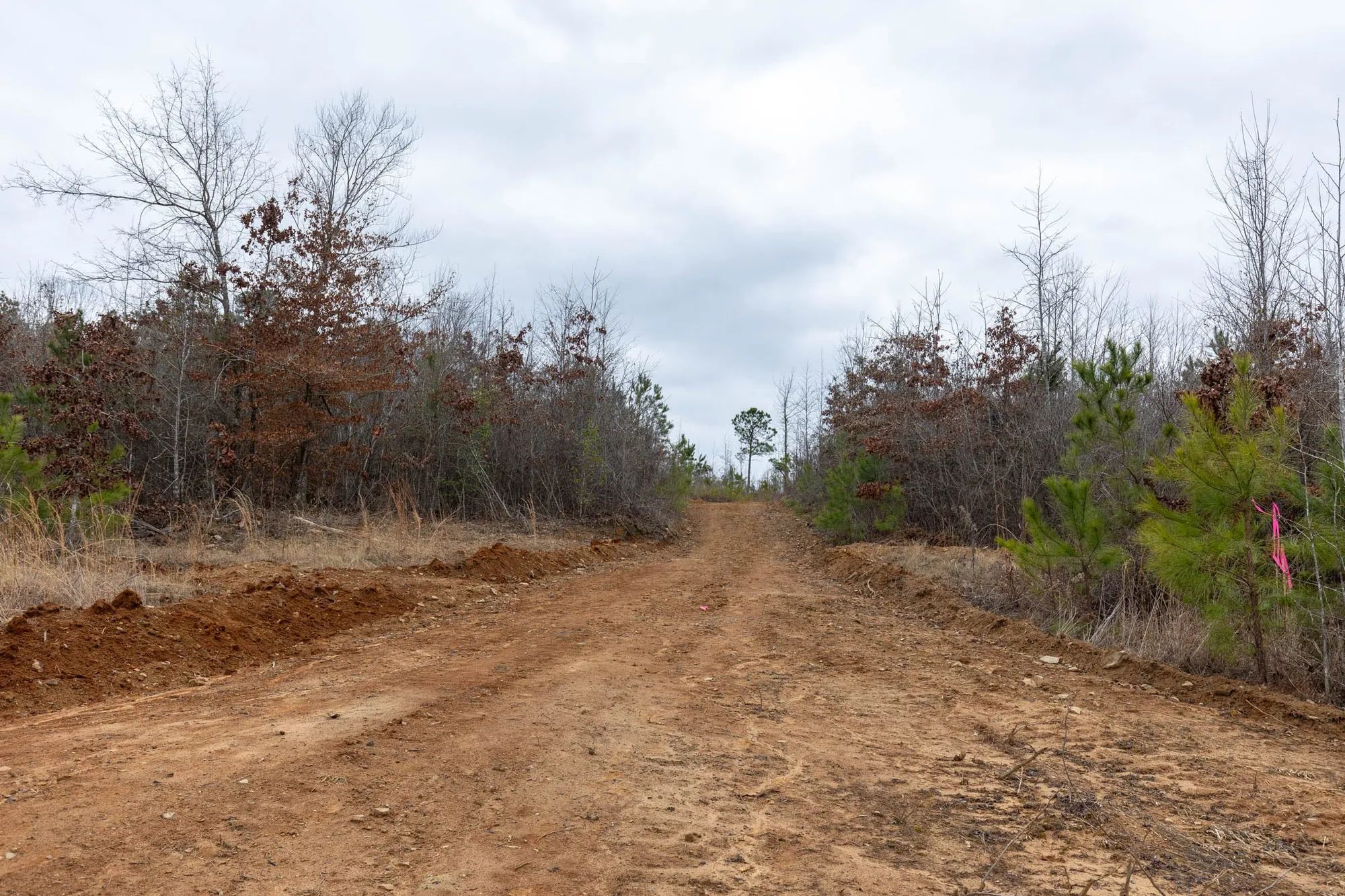 Baker Creek Tract 18 in Fayette County, AL