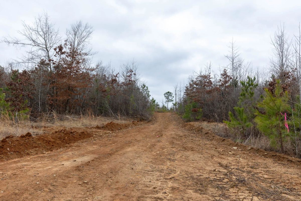 Baker Creek Tract 18 - Image 4