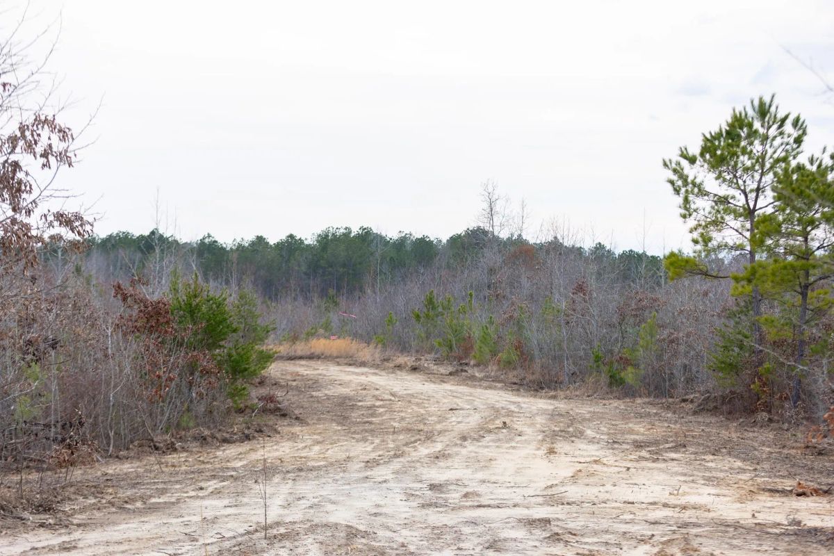 Decorative background for Baker Creek Tract 18 image 5