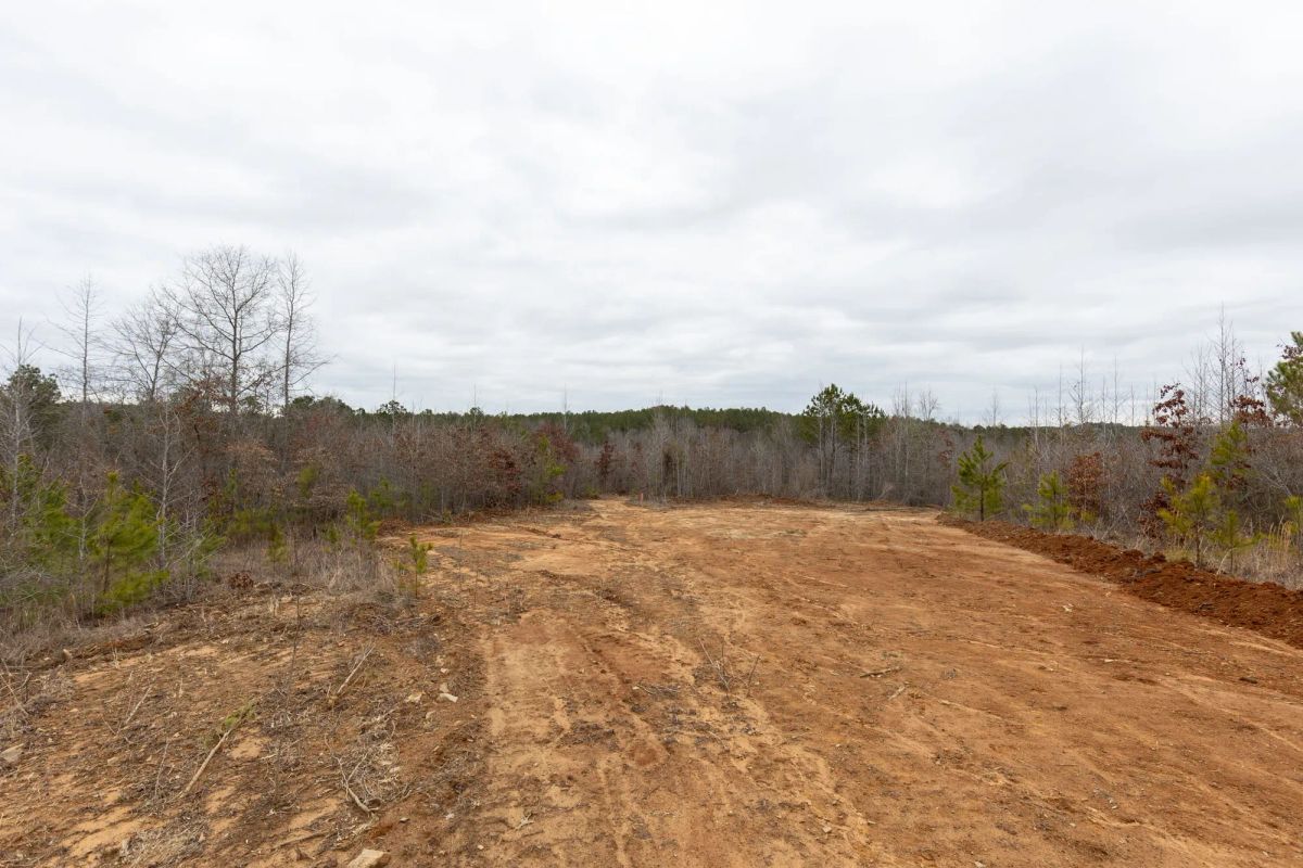 Decorative background for Baker Creek Tract 18 image 8